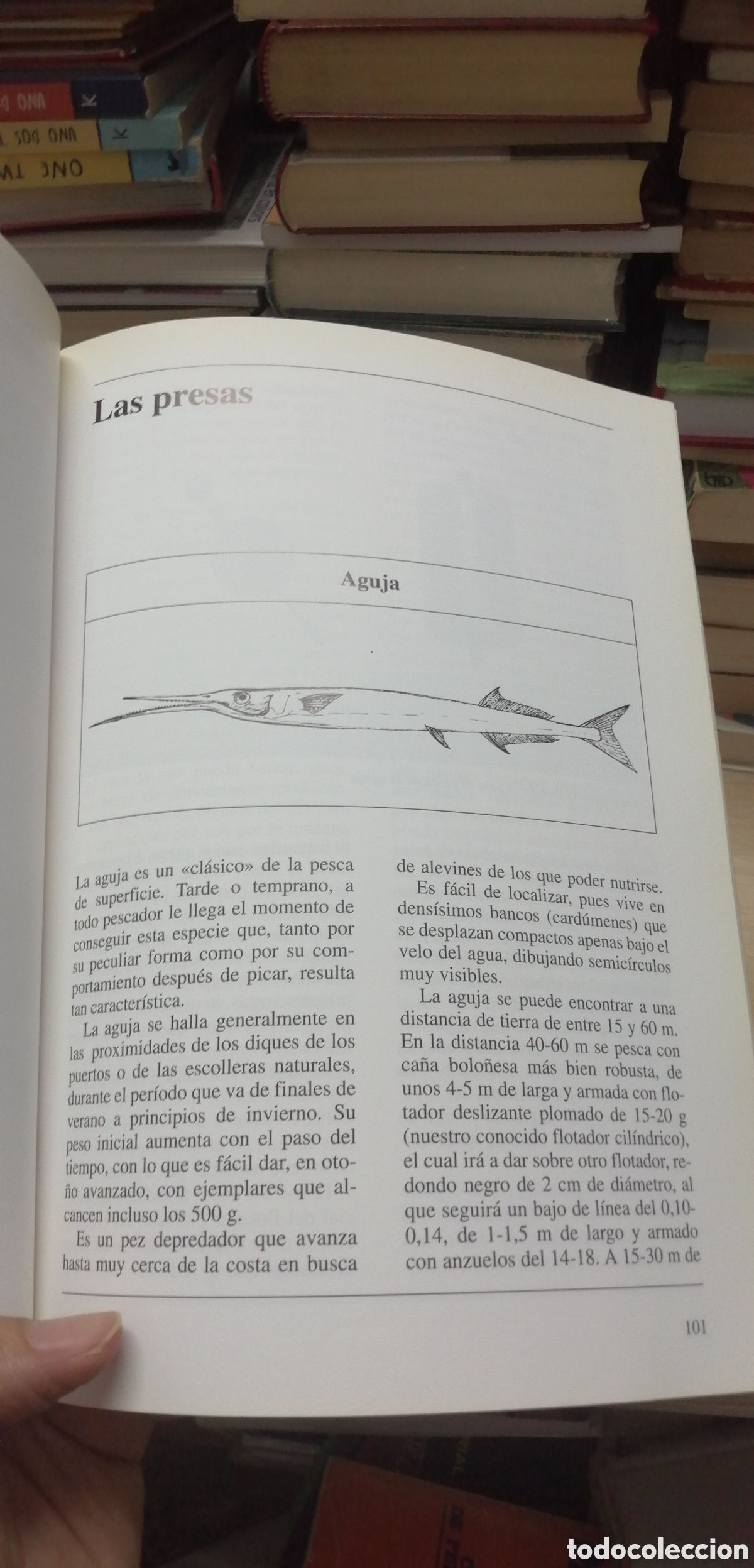 Coleccionismo deportivo: Curso de pesca en el mar Giuseppe Genta Editorial de Vecchi 1993 - Foto 15