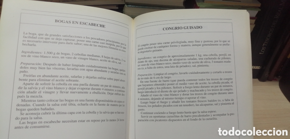 Coleccionismo deportivo: Curso de pesca en el mar Giuseppe Genta Editorial de Vecchi 1993 - Foto 20