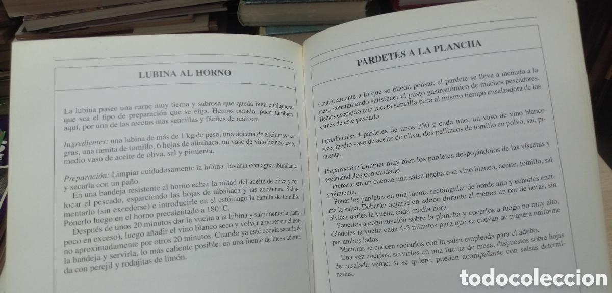 Coleccionismo deportivo: Curso de pesca en el mar Giuseppe Genta Editorial de Vecchi 1993 - Foto 21
