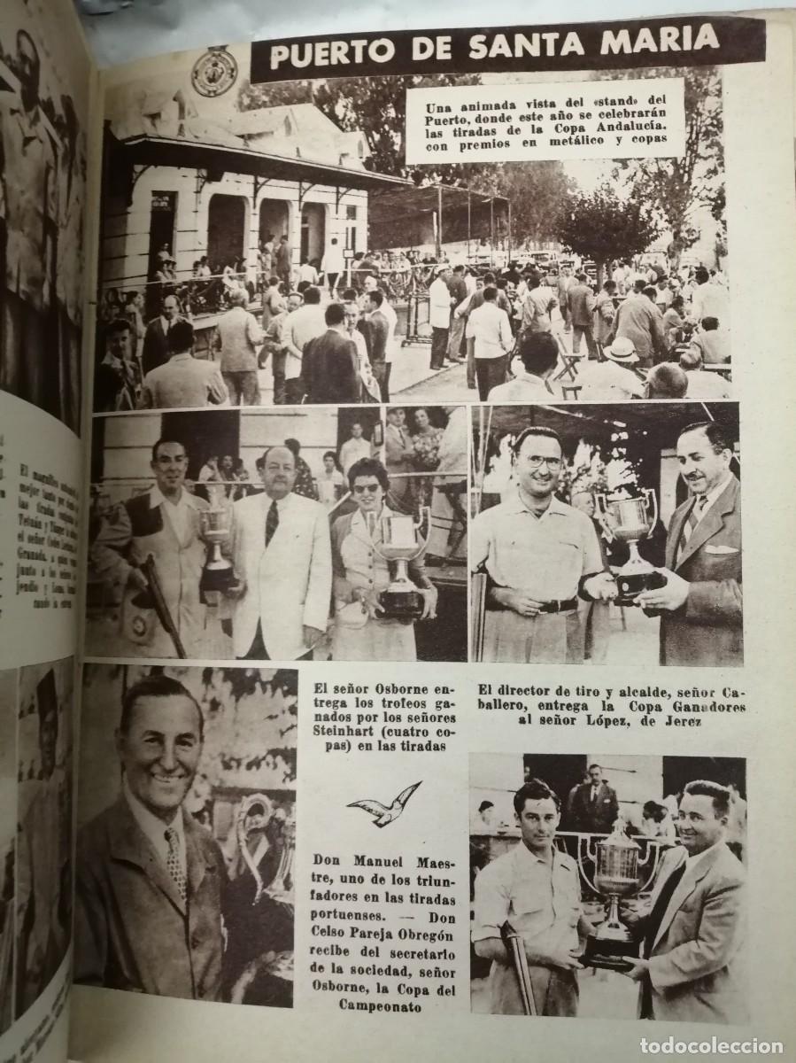 Coleccionismo deportivo: El tiro de pich&oacute;n en 1955 - Foto 4