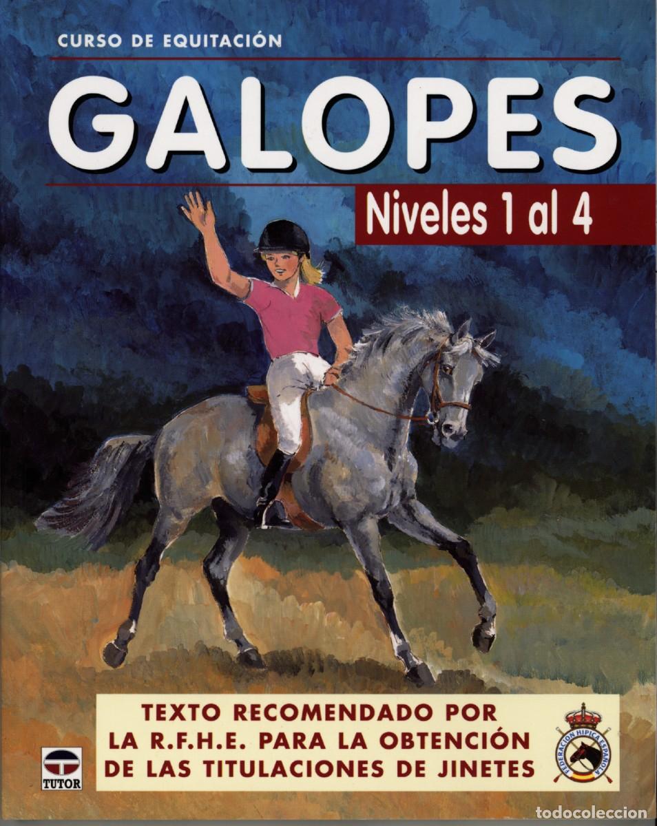 Coleccionismo deportivo: CURSO DE EQUITACI&Oacute;N . GALOPES . NIVELES 1 AL 4. - Foto 1