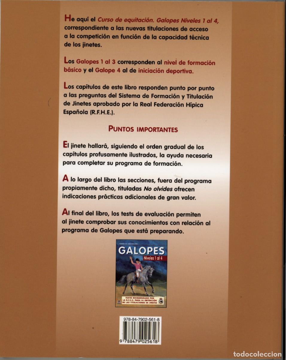 Coleccionismo deportivo: CURSO DE EQUITACI&Oacute;N . GALOPES . NIVELES 1 AL 4. - Foto 2