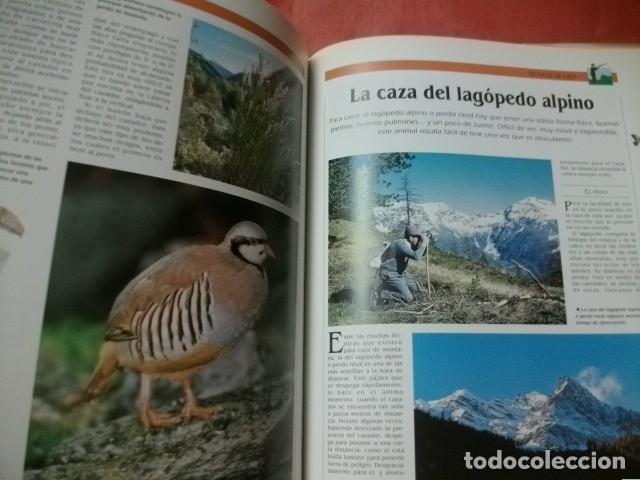 Coleccionismo deportivo: CAZA MENOR (EDITORIAL &Aacute;GATA) - Foto 2