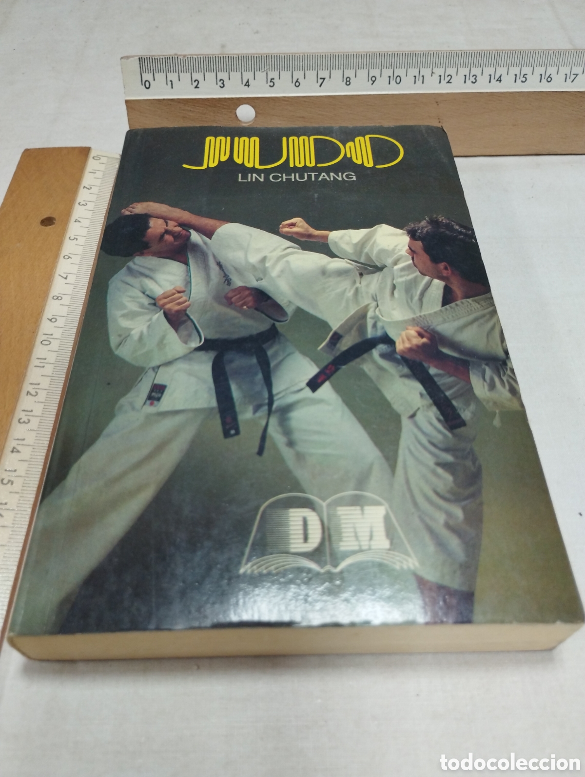 Coleccionismo deportivo: Judo. Lin Chutang, 1990 - Foto 1