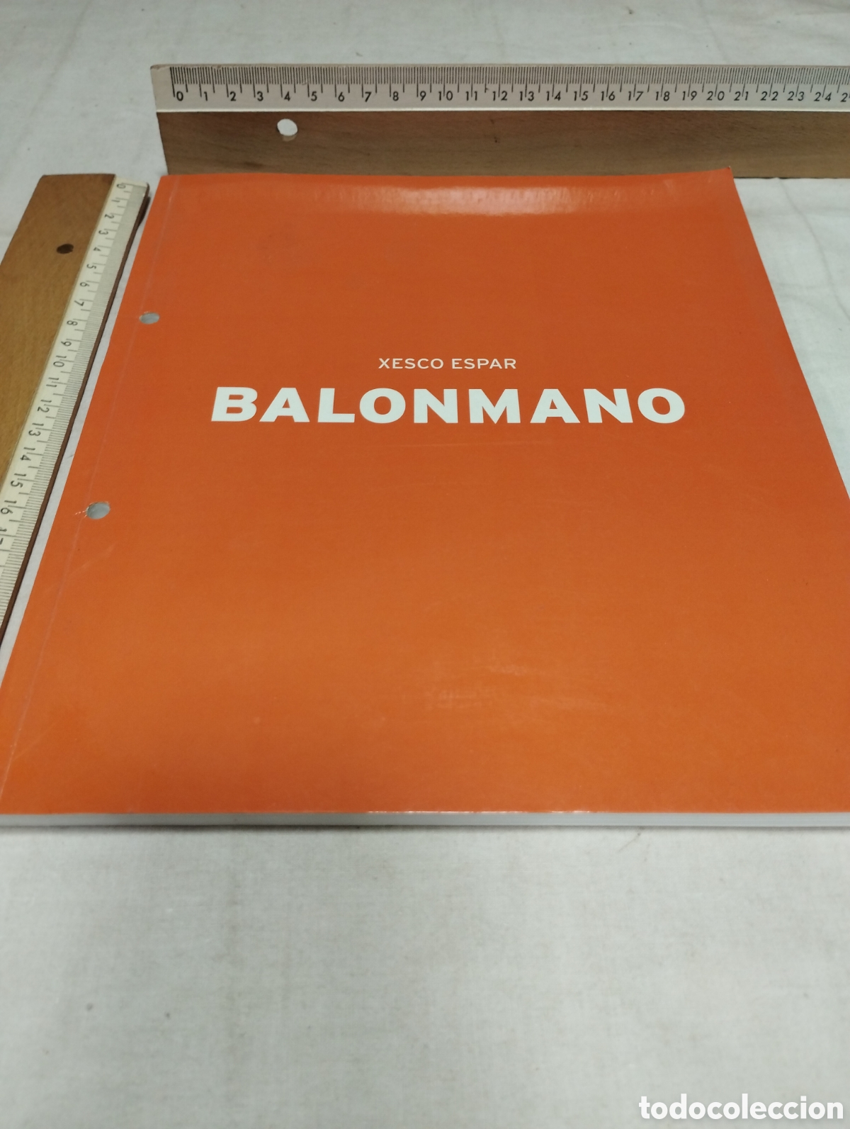 Coleccionismo deportivo: Balonmano. Xesco Espar, 2001 - Foto 1