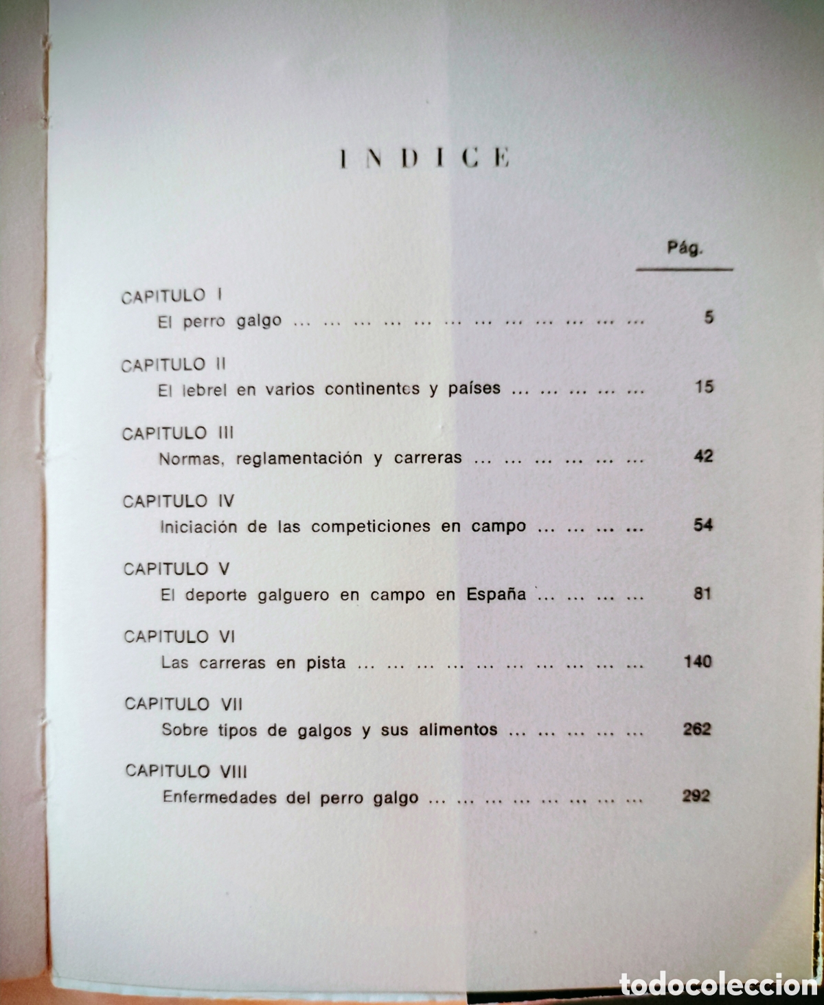 Coleccionismo deportivo: El galgo en el deporte.1969 - Foto 3