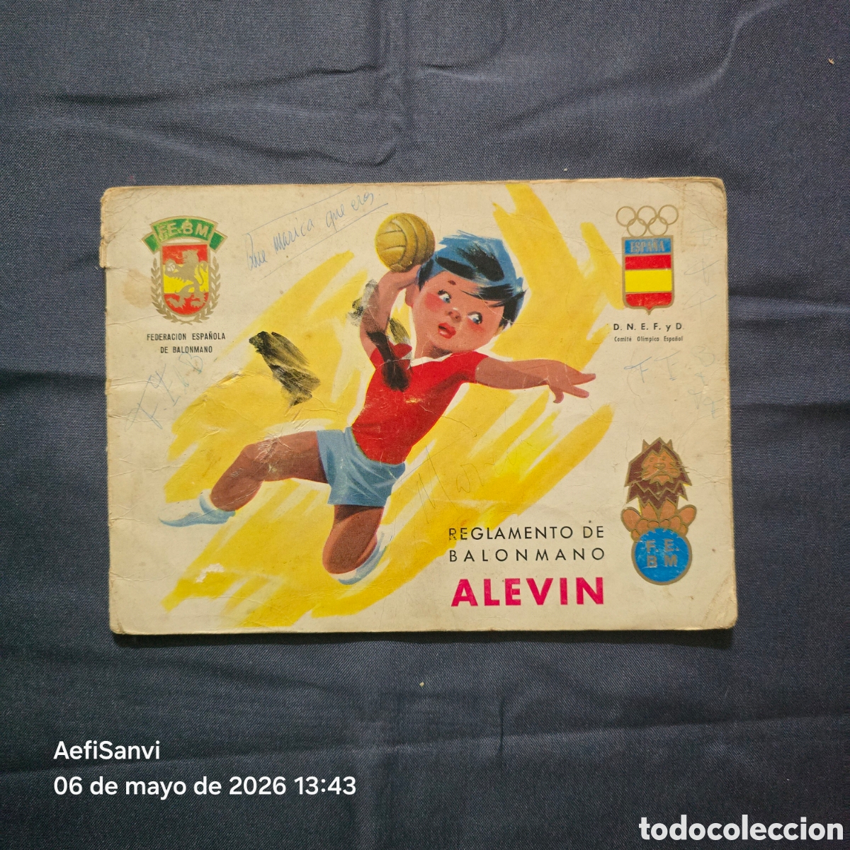 Coleccionismo deportivo: REGLAMENTO DE BALONMANO, ALEVIN (FEDERACI&Oacute;N ESPA&Ntilde;OLA DE BALONMANO)