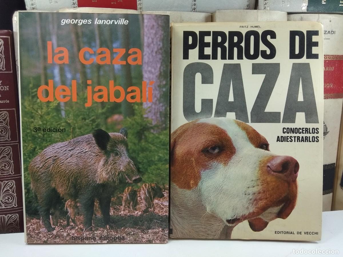 Sammelleidenschaft Sport: LA CAZA DEL JABAL&Iacute;, por Georges Lanorville PERROS DE CAZA. CONOCERLOS ADIESTRARLOS, Por Fritz Humel
