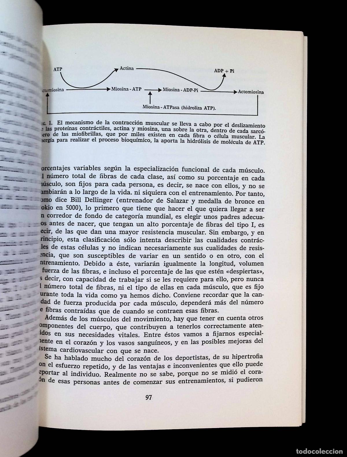 Coleccionismo deportivo: DEL &rdquo;JOGGING&rdquo; A LA MARATHON. - VV.AA. - Foto 4