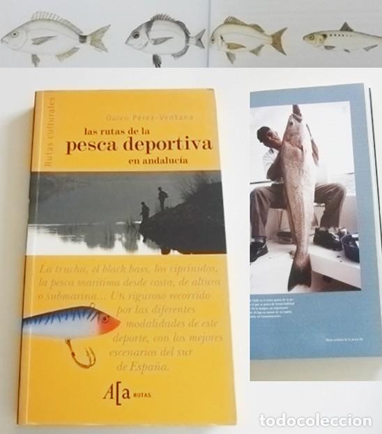 Coleccionismo deportivo: LAS RUTAS DE LA PESCA DEPORTIVA EN ANDALUC&Iacute;A LIBRO QUICO P&Eacute;REZ-VENTANA DEPORTE PECES P DE ALTURA ETC