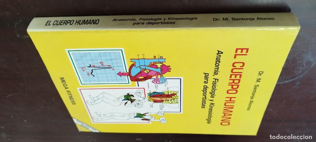 Coleccionismo deportivo: EL CUERPO HUMANO, ANATOMIA, FISIOLOGIA Y KINESIOLOGIA PARA DEPORTISTAS / SANTONJA / PU-GUI-10
