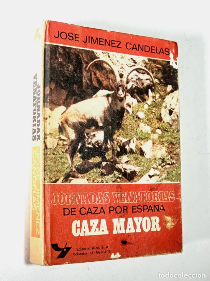 Coleccionismo deportivo: JORNADAS VENATORIAS DE CAZA POR ESPA&Ntilde;A. CAZA MENOR Y CAZA MAYOR