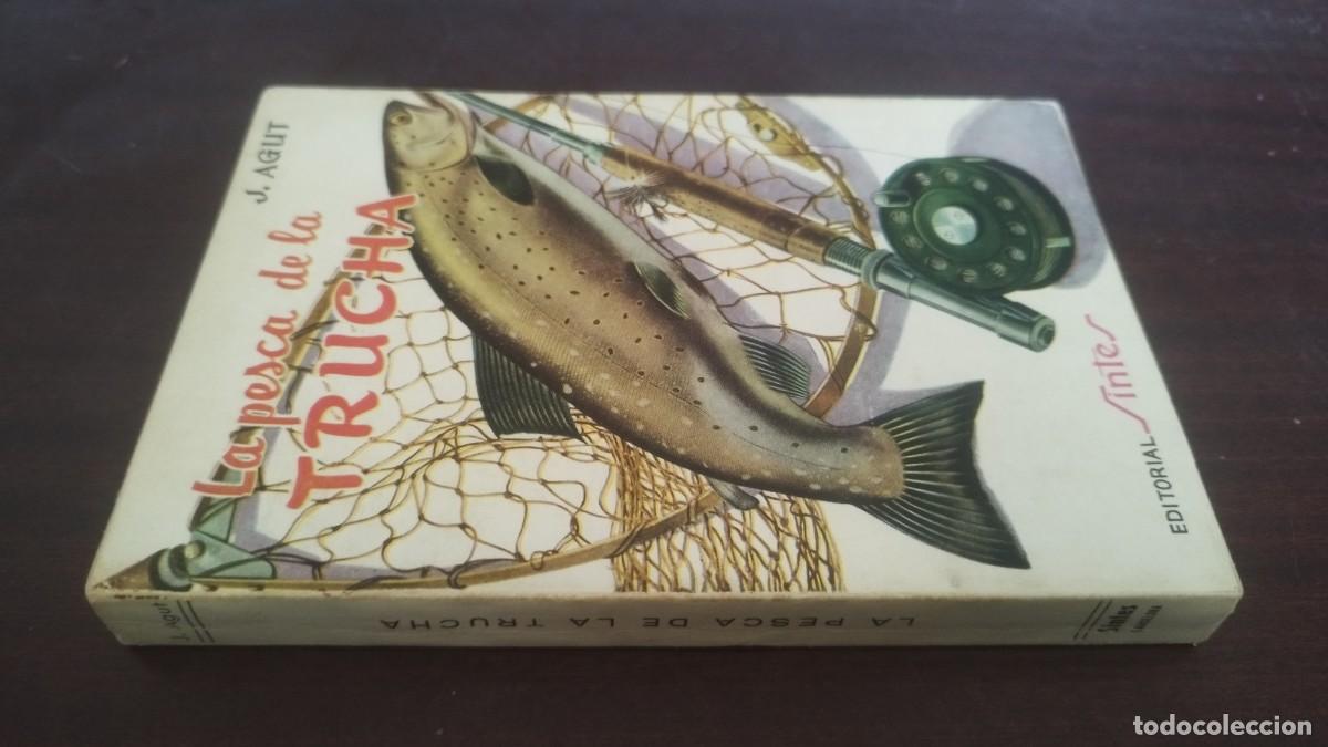 Coleccionismo deportivo: LA PESCA DE LA TRUCHA / J.AGUT / ZUX 31 / SINTES