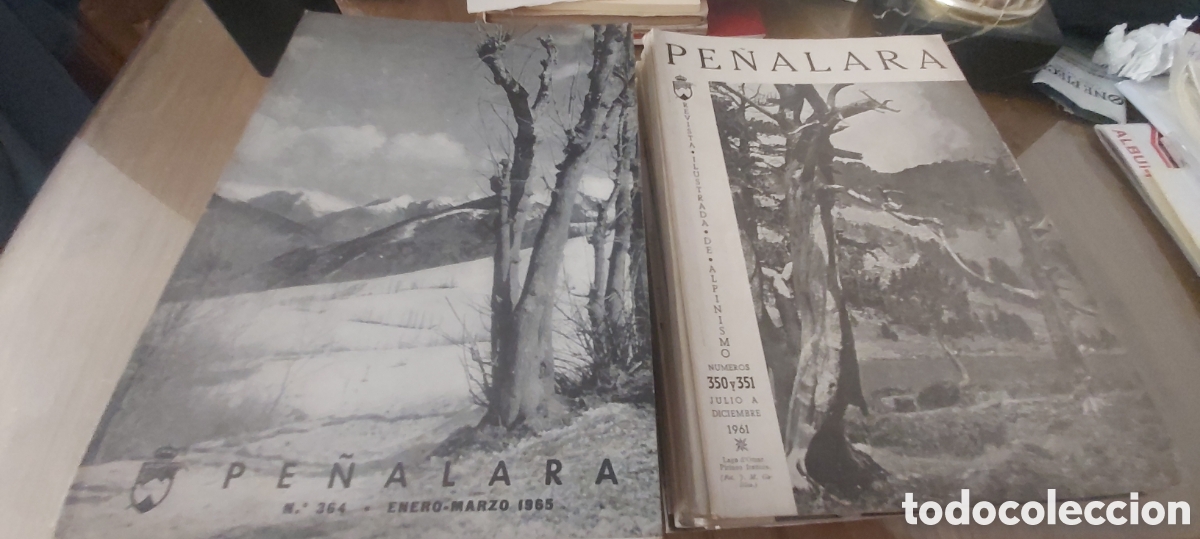 Coleccionismo deportivo: 23 REVISTAS DE MONTA&Ntilde;A PE&Ntilde;ALARA 1961-1967