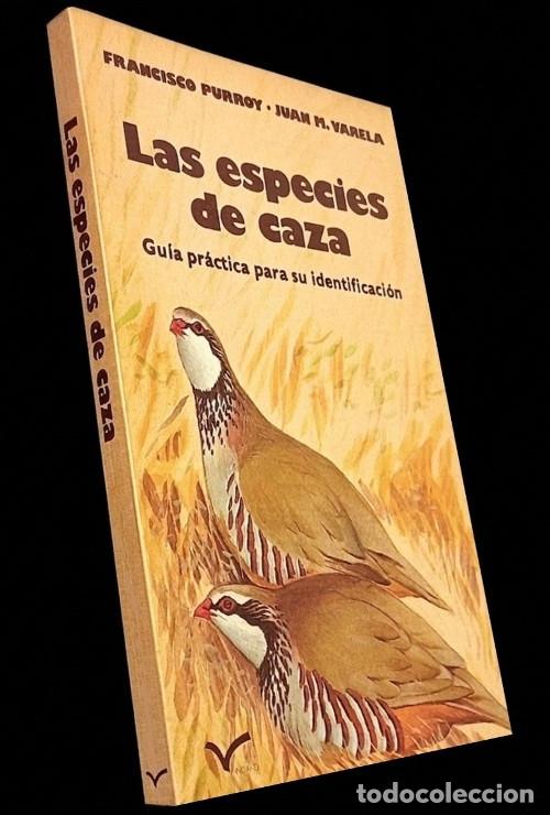 Coleccionismo deportivo: M4014 - LAS ESPECIES DE CAZA. GUIA PRACTICA PARA SU IDENTIFICACION. AVES. JABALI. LOBO. CORZOS. ETC.