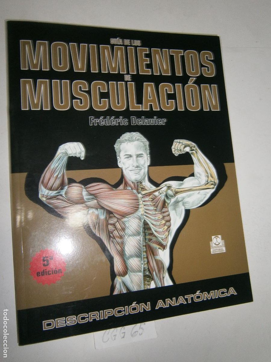 Coleccionismo deportivo: GUIA DE LOS MOVIMIENTOS DE MUSCULACION - DESCRIPCION ANATOMICA