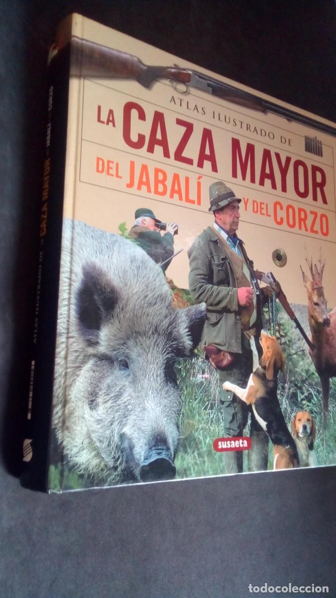 Coleccionismo deportivo: ATLAS ILUSTRADO CAZA MAYOR JABALI Y CORZO / / CABANAU, VALET, DURANTEL / SUSAETA
