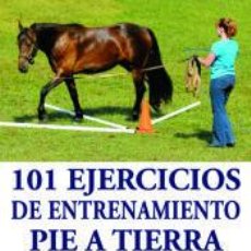 Libros: 101 EJERCICIOS DE ENTRENAMIENTO PIE A TIERRA - CHERRY HILL. Lote 342494758