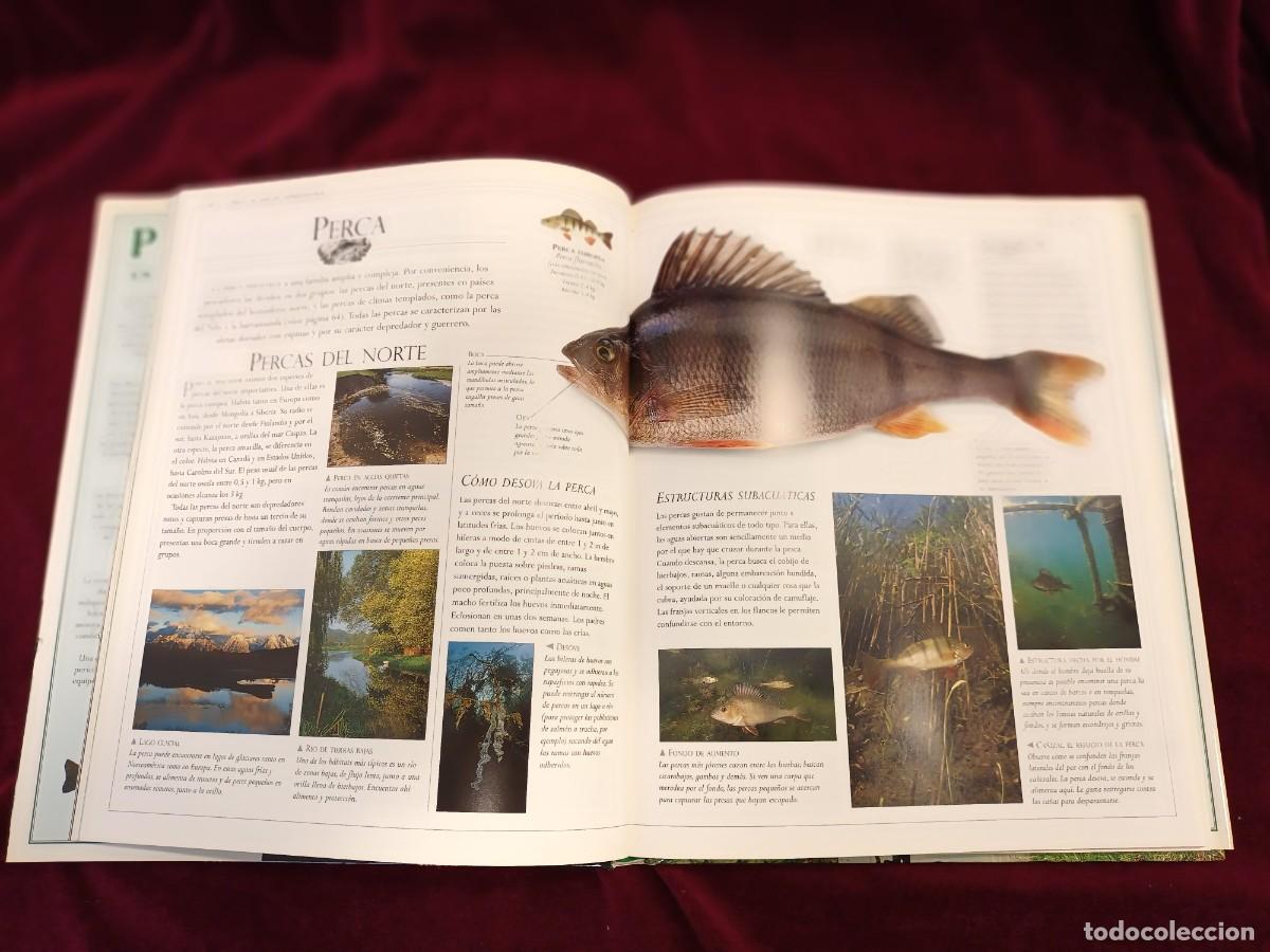 Libros: PESCA EN AGUA DULCE DE JOHN BAILEY. - Foto 3