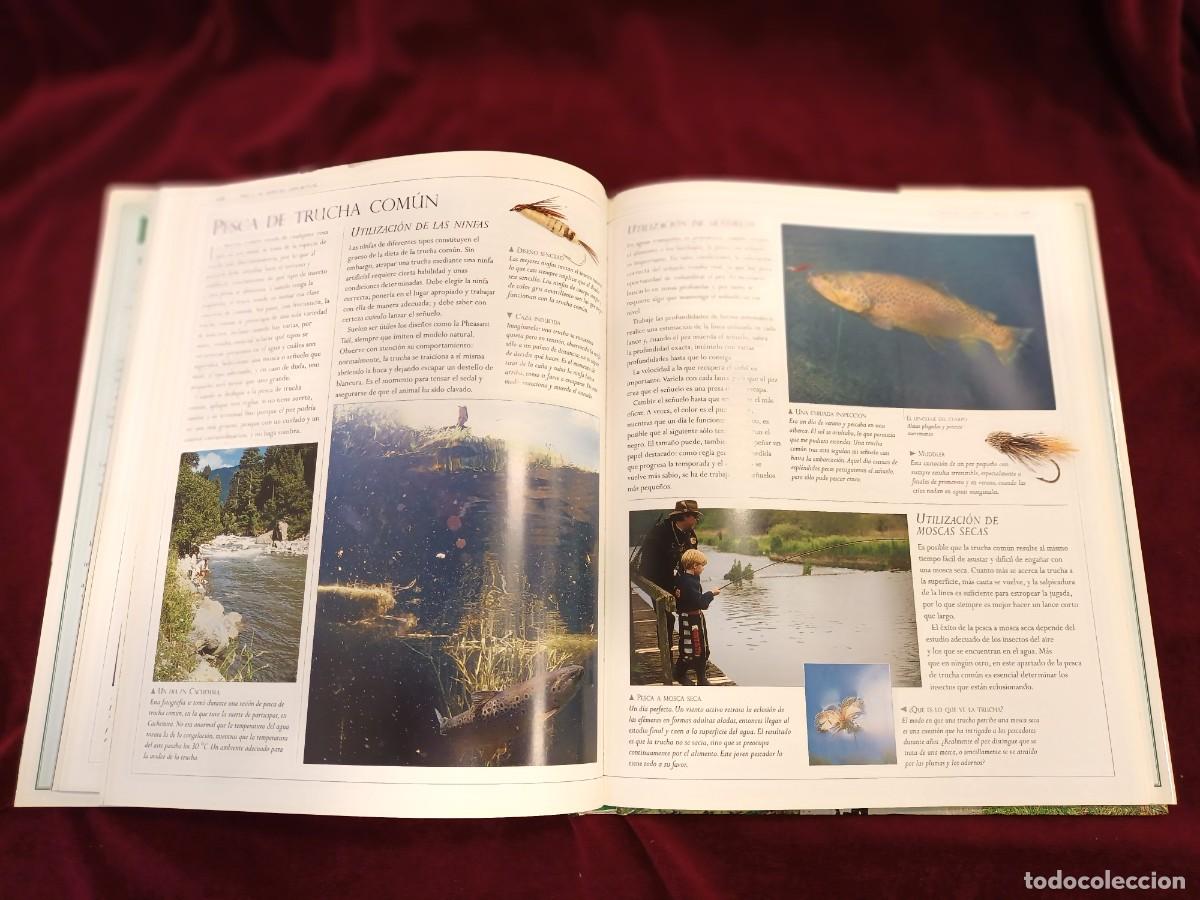 Libros: PESCA EN AGUA DULCE DE JOHN BAILEY. - Foto 4