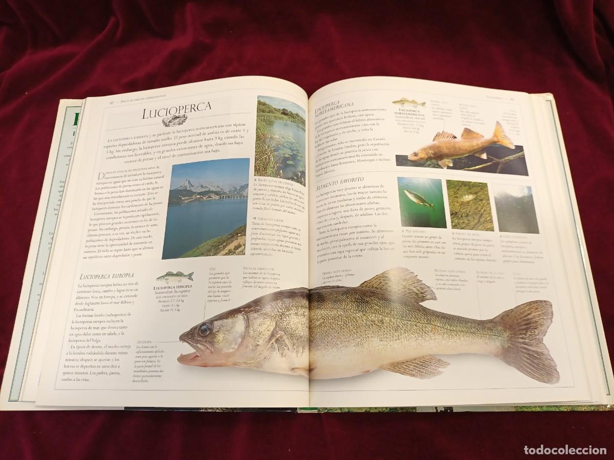 Libros: PESCA EN AGUA DULCE DE JOHN BAILEY. - Foto 6
