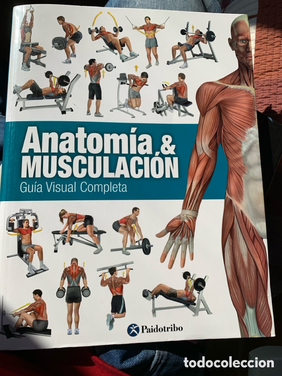 Libros: ANATOMIA Y MUSCULACION GUIA VISUAL COMPLETA - Foto 1