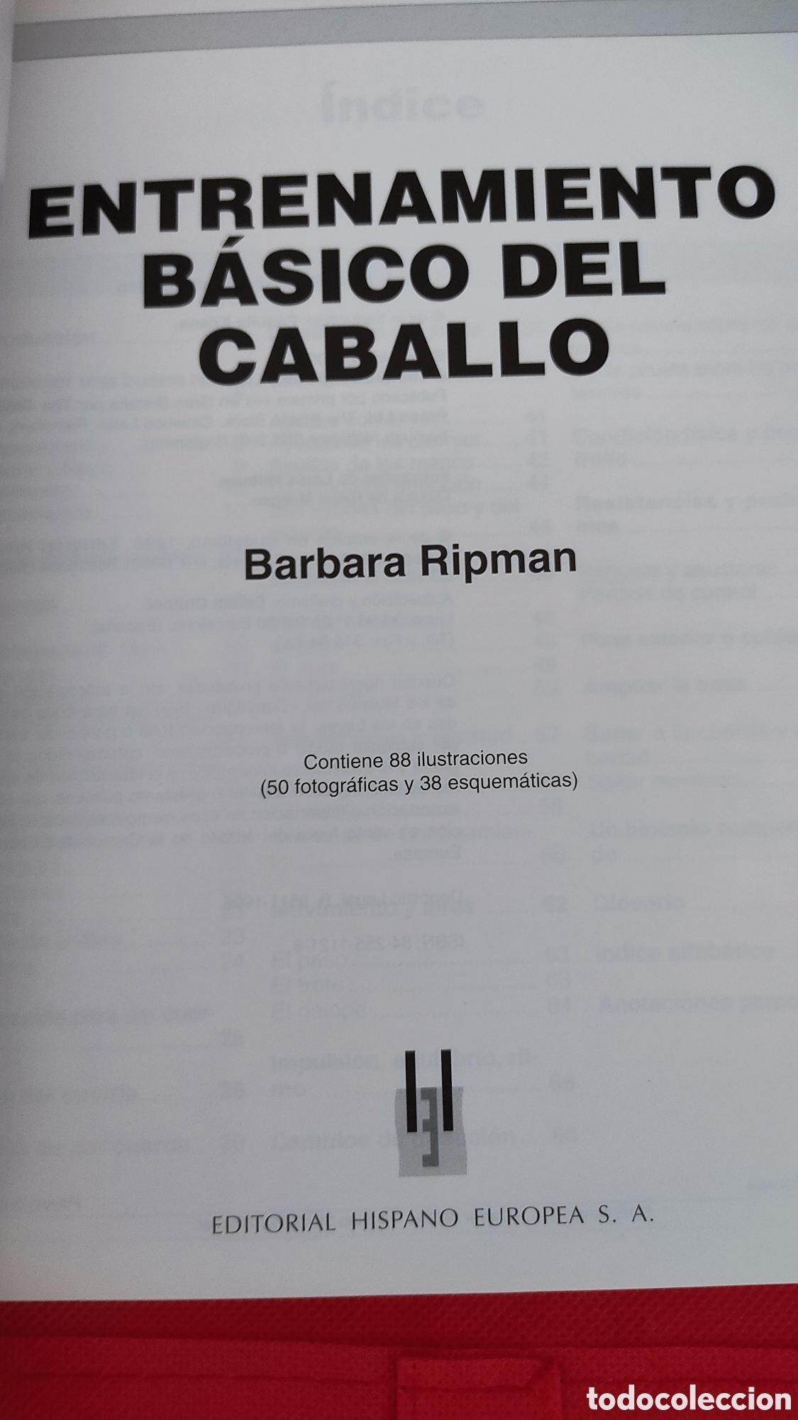 Libros: Entrenamiento b&aacute;sico del caballo - Foto 2