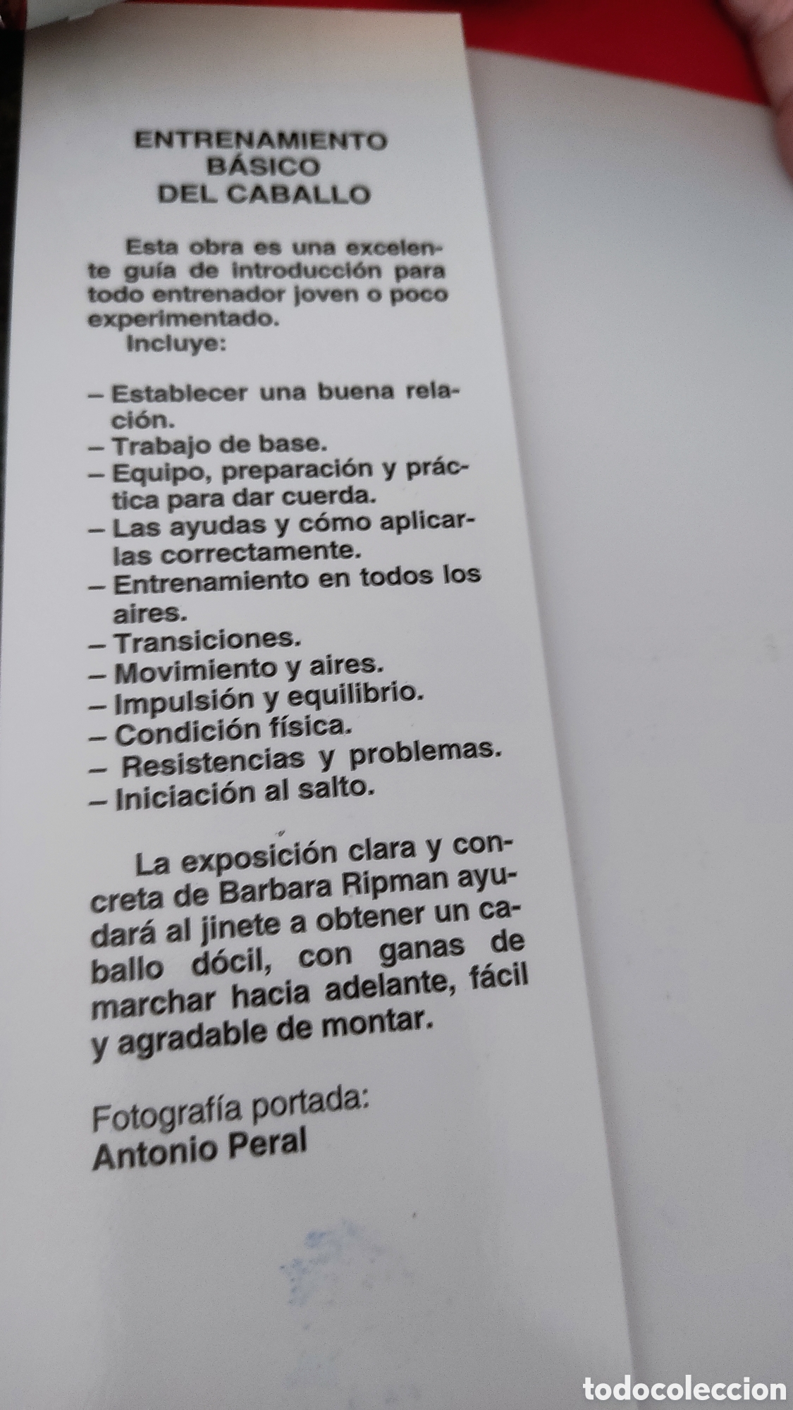Libros: Entrenamiento b&aacute;sico del caballo - Foto 3