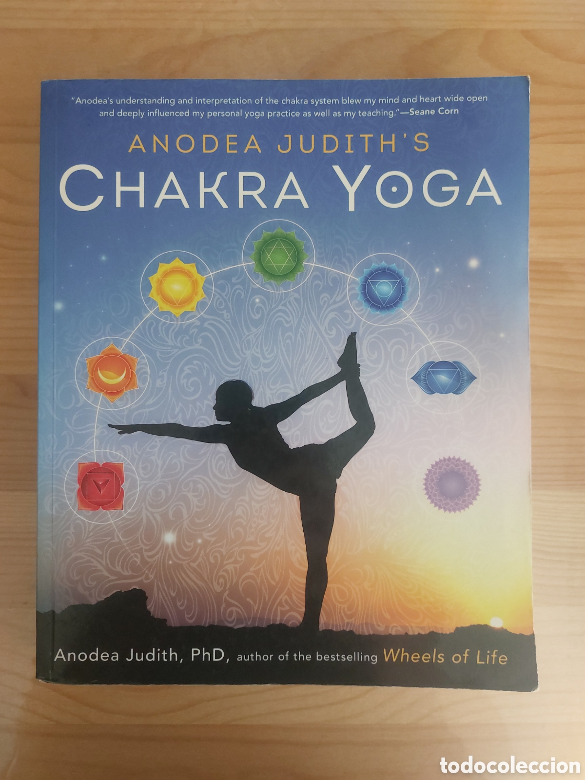 Libros: Anodea Judith's Chakra Yoga