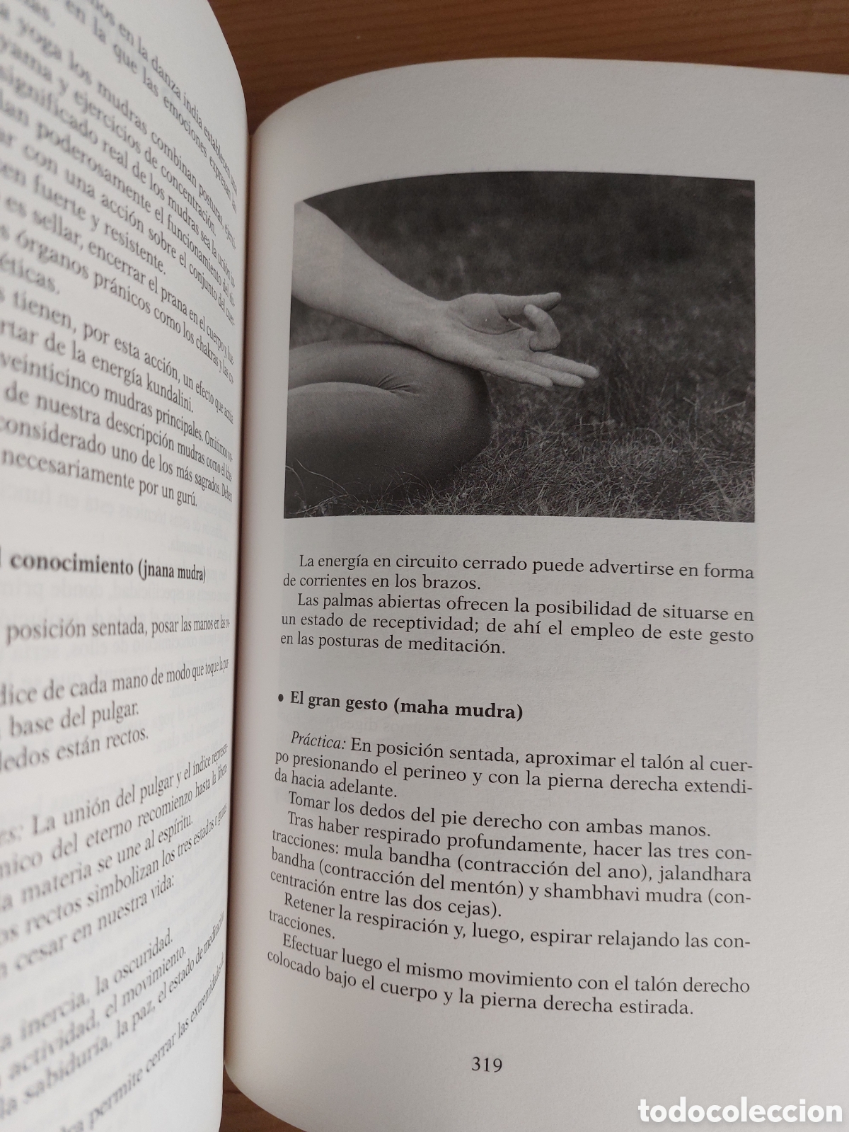 Libros: El gran libro del yoga - Foto 12