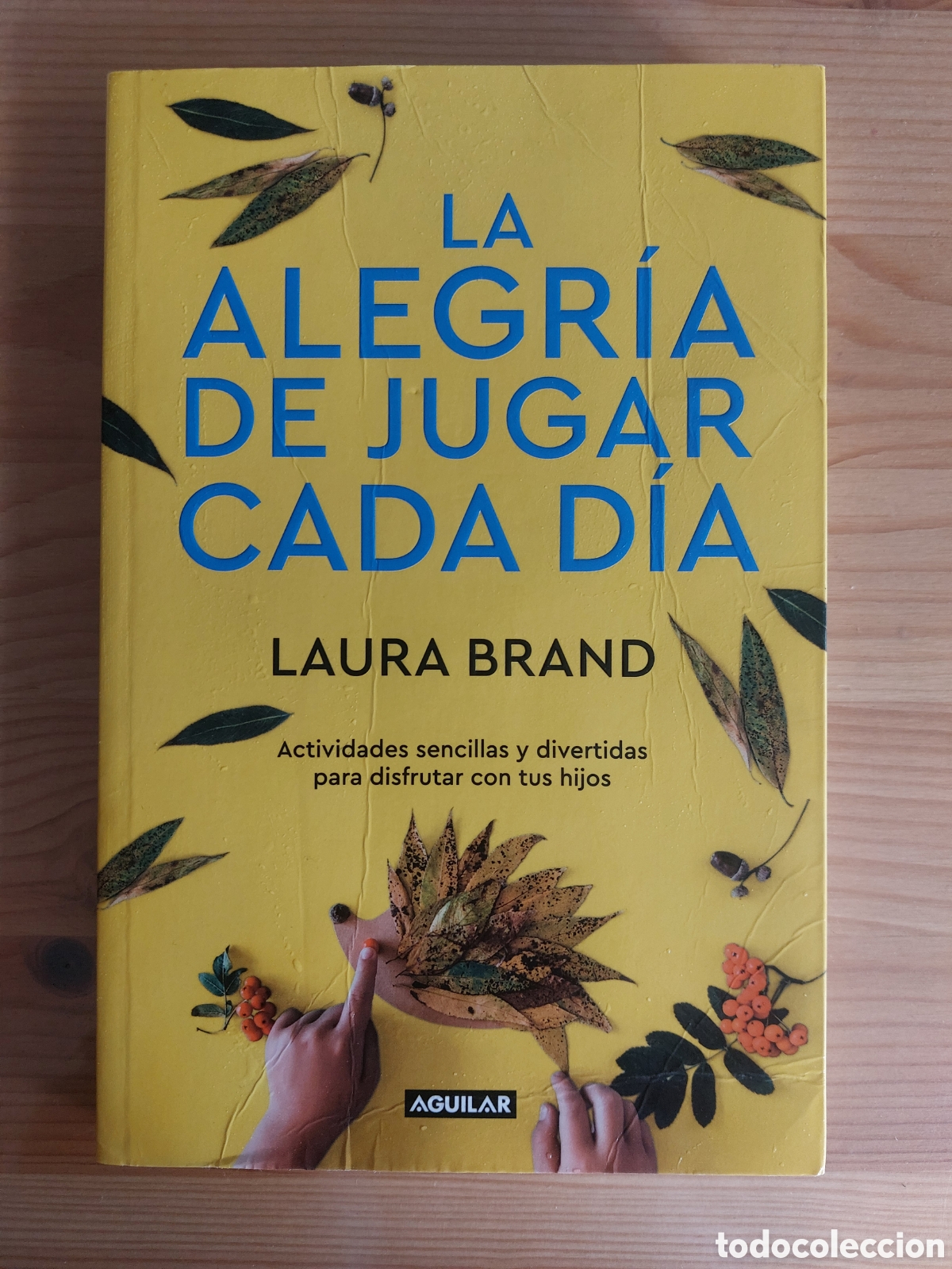 Libros: La alegr&iacute;a de jugar cada d&iacute;a