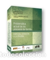B&uuml;cher: Problem&aacute;tica actual de los procesos de familia. - Abel Lluch, Xavier; de Miranda V&aacute;zquez, Carlos;