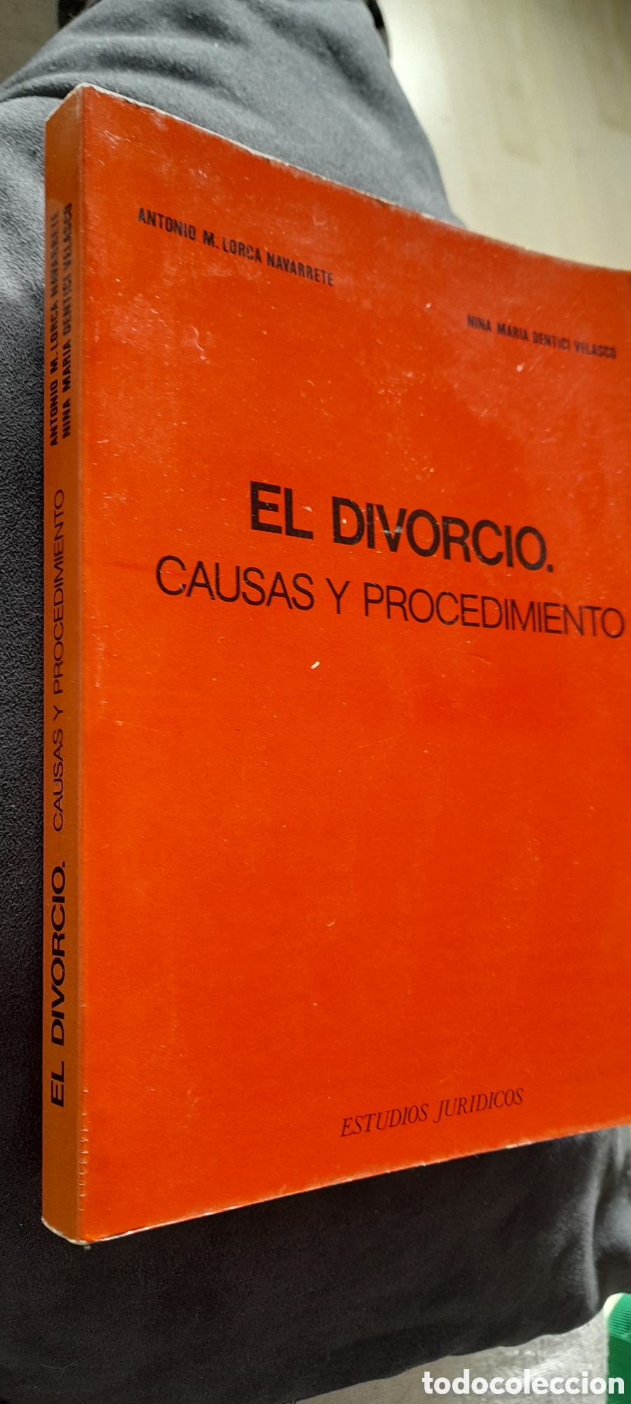 Libros: El divorcio. Causas y procedimiento - Foto 2