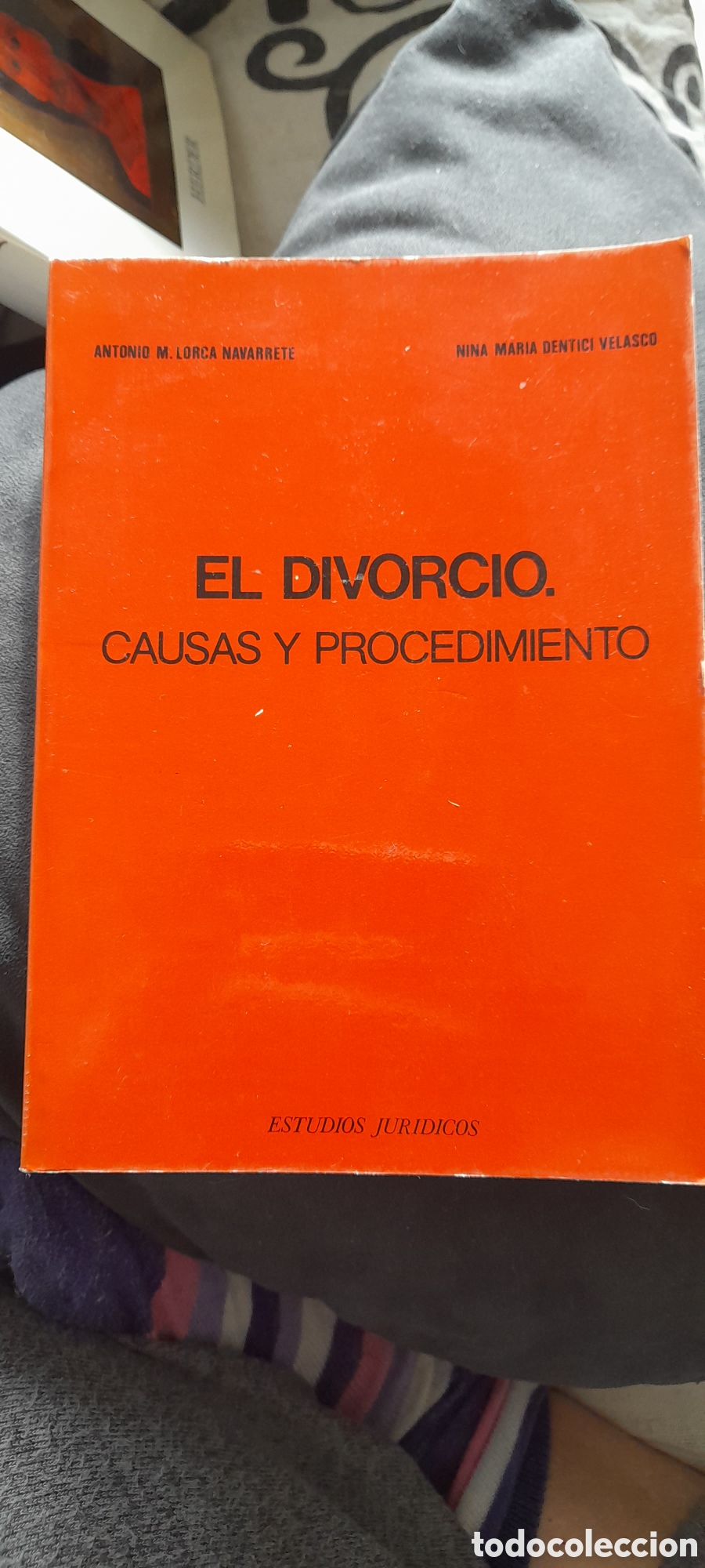 Libros: El divorcio. Causas y procedimiento - Foto 1