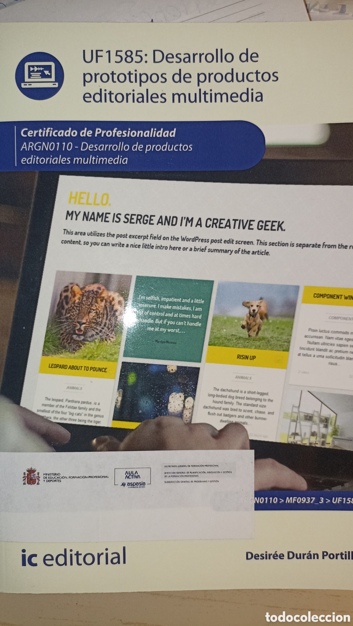 Libros: &rdquo;Desarrollo de prototipos de productos editoriales multimedia&rdquo; (c&oacute;digo ARGN0110) de la editorial IC