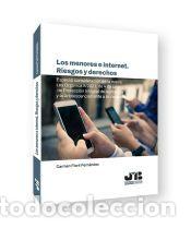 Libros: Los menores e internet. Riesgos y derechos - Florit Fern&aacute;ndez, Carmen