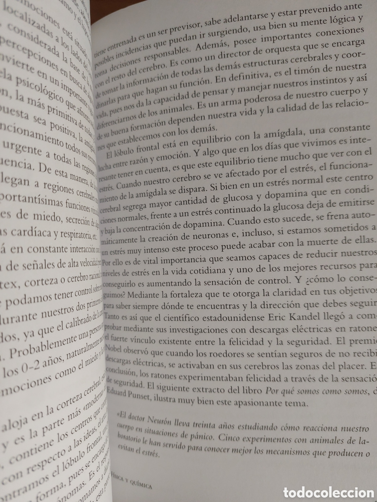 Libros: &Eacute;xito se escribe con A - Foto 4