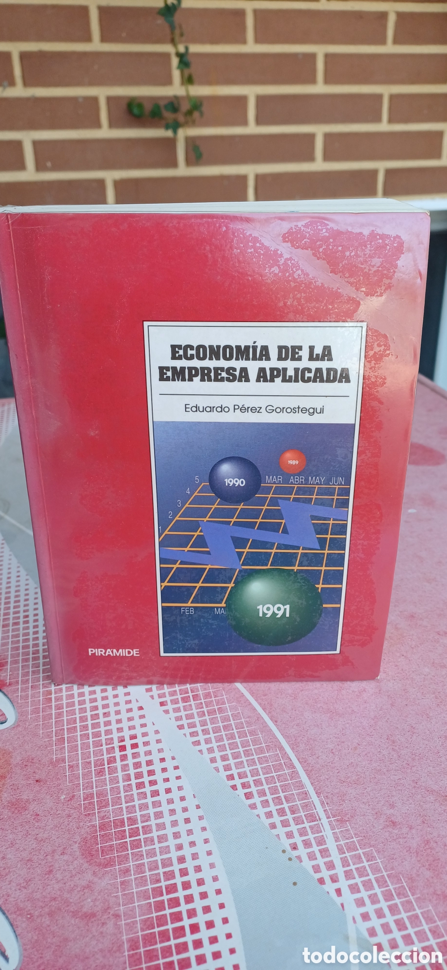 Libros: Econom&iacute;a de la empresa aplicada
