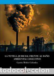 Libros: La tutela judicial frente al da&ntilde;o ambiental colectivo - M&eacute;dici Colombo, Gast&oacute;n
