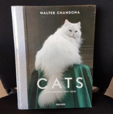 Libros: WALTER CHANDOHA. CATS. PHOTOGRAPHS 1942–2018. Lote 402169384