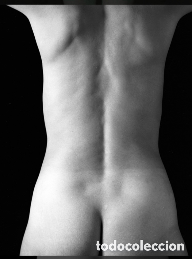 Libros: Body structures. Dubak Zbigniew - Foto 2