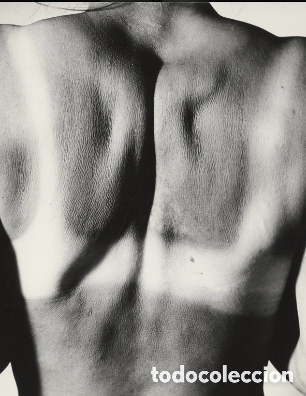 Libros: Body structures. Dubak Zbigniew - Foto 3