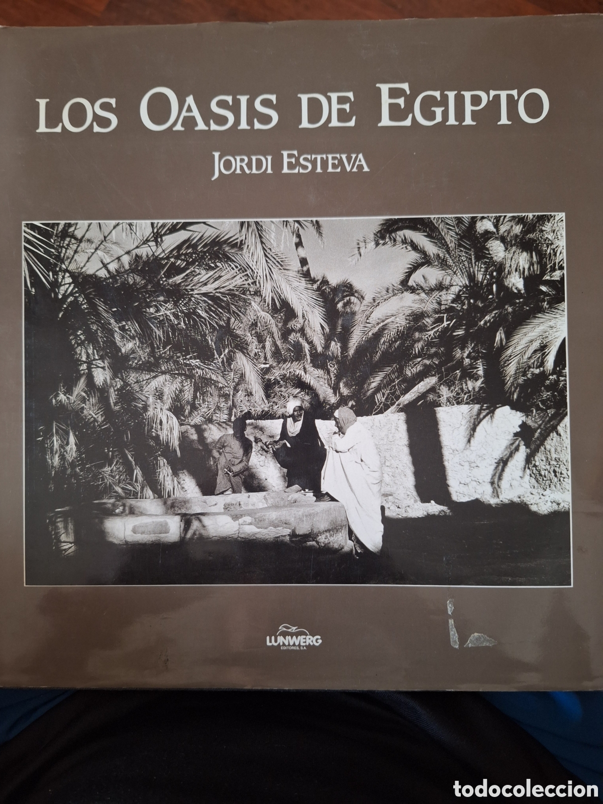 Libros: LOS OASIS DE EGIPTO JORDI ESTEVA