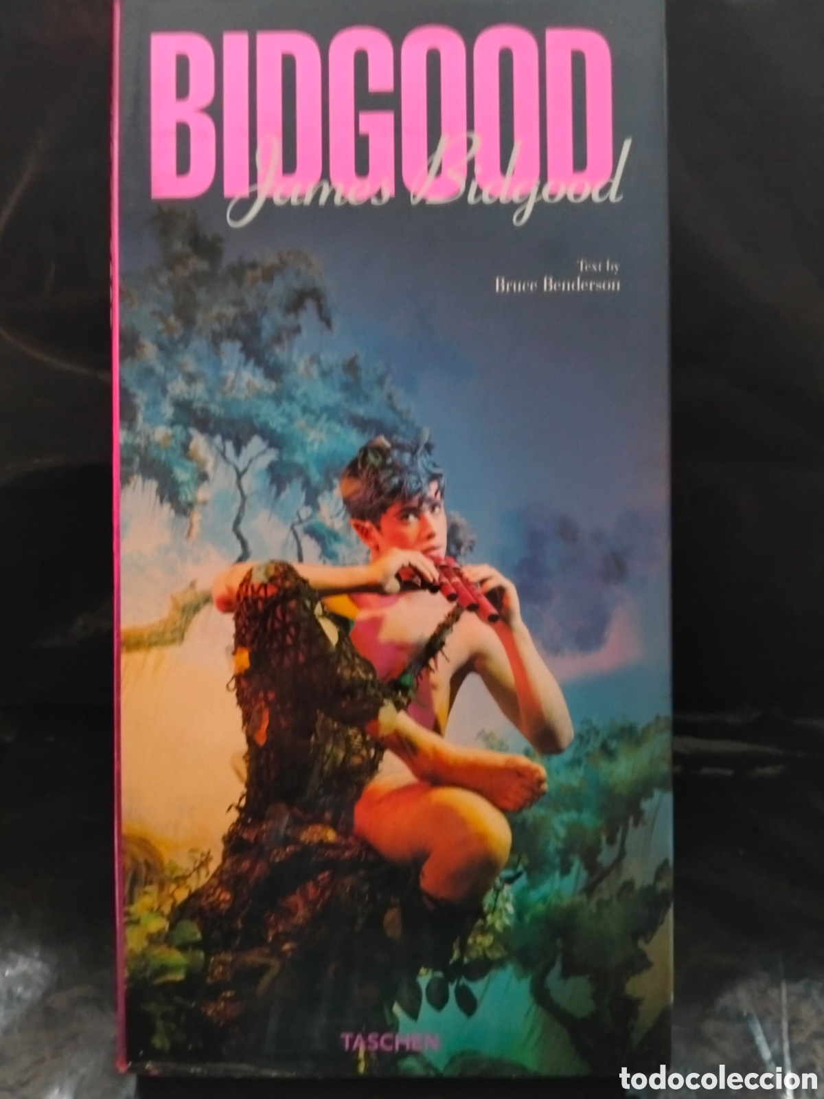 Libros: JAMES BIDGOOD. BIDGOOD .TASCHEN