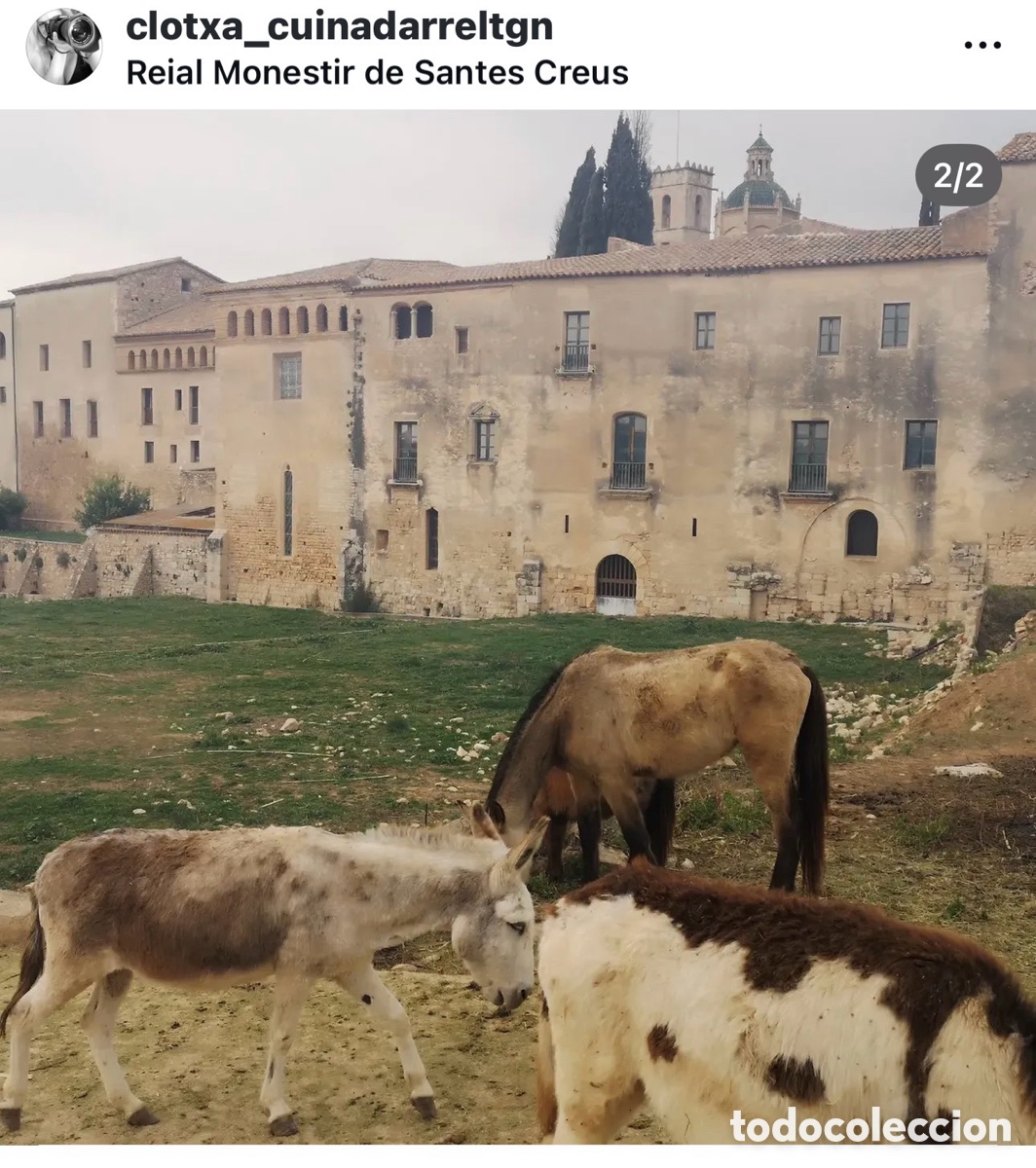 B&uuml;cher: Libro TARRACO GENV&Iuml;NA, 1er premi fotografia Santes Creus , amb suport Diputaci&oacute;