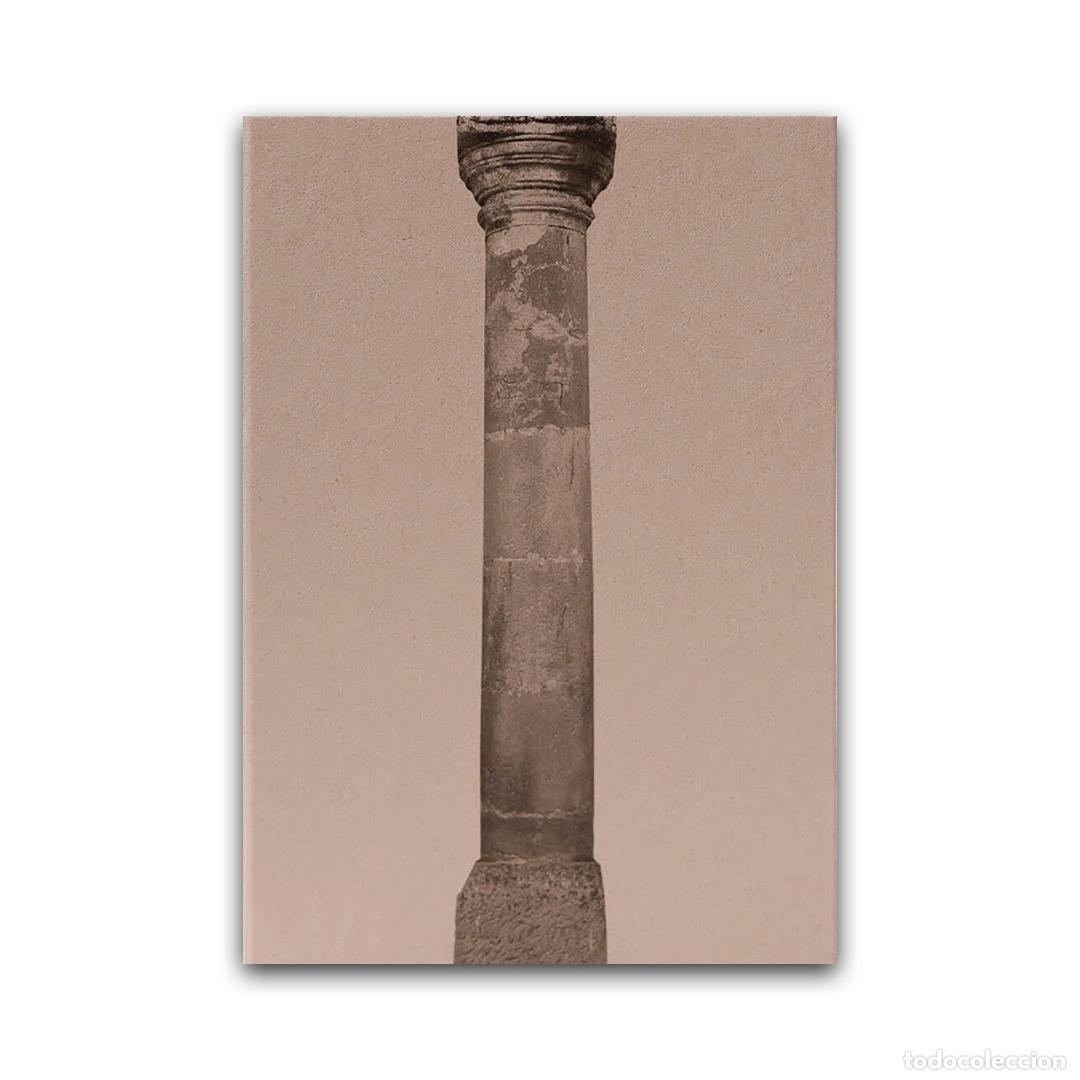 Libros: Columna - Sonia Celma ( Firmado )