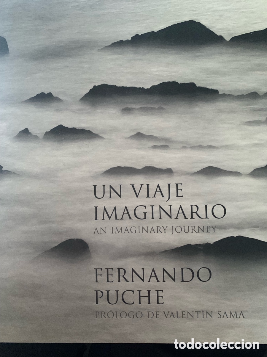 Libros: Un viaje imaginario/ An imaginary journey. Fernando Puche