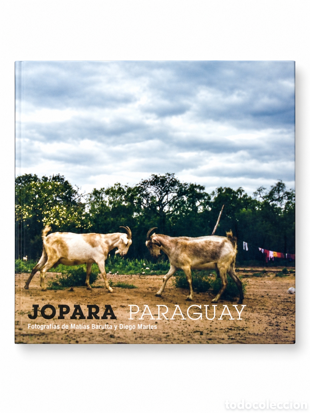 Libros: MAT&Iacute;AS BARUTTA Y DIEGO MARES &ndash; JOPAR&Aacute;: PARAGUAY &ndash; COLECTIVO A PEDAL &ndash; 2013 &ndash; LMD