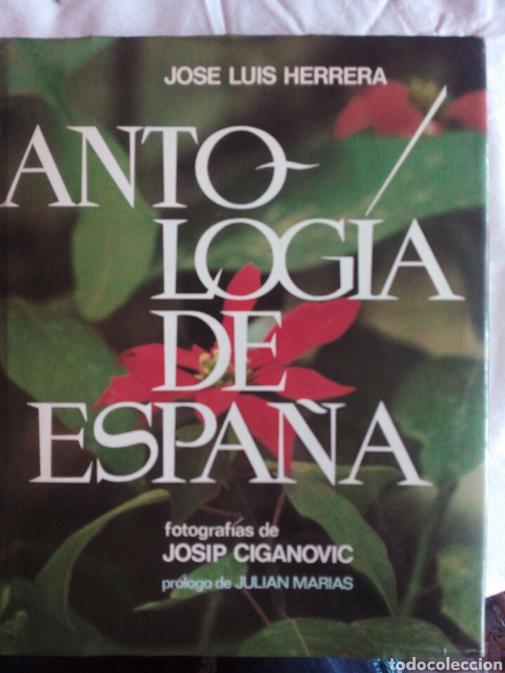 Libros: * Antologia de Espa&ntilde;a J.L. Herrera - Foto 3