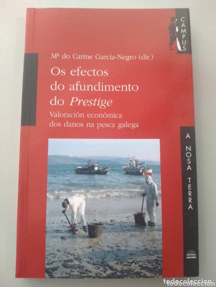 Libros: Os efectos do afundimento do Prestige. María do Carme García-Negro. A Nosa Terra - Foto 1 - 173391473